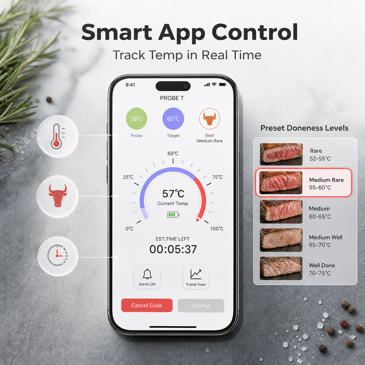 Wireless Meat Thermometer with Bamboo Dock & Smart App /T4